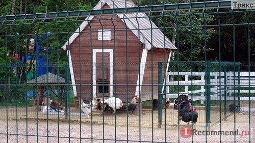 Зубровник в Токсово, Санкт-Петербург фото