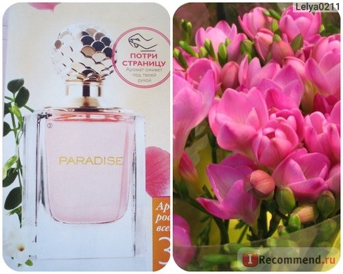 Oriflame Paradise фото