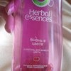 Шампунь для окрашенных волос Herbal Essences 