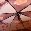 Зонт Magic Rain 4231 Цветочная соната фото