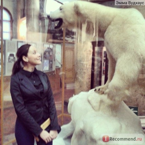 Музей Арктики и Антарктики, Санкт-Петербург фото