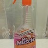 Жидкость для мытья стекол Мистер Мускул - лесные ягоды 500мл Россия фото