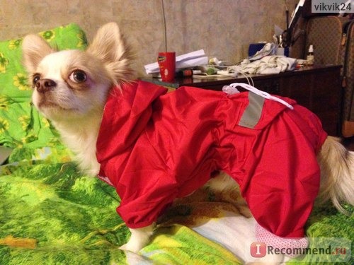 Одежда для собак Aliexpress Дождевик 4 Colors Pet Dog Raincoats Fashion Dogs Puppy Casual Waterproof Jacket Clothing фото