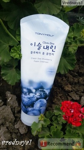 Пенка для умывания TONY MOLY Clean Dew BlueBerry Foam Cleanser с экстрактом черники фото