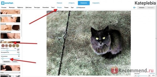 Avatan - Необычный фоторедактор! - Avatan.ru фото