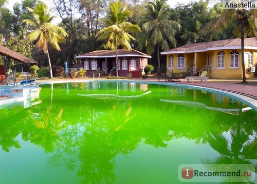 Бассейн немного зелёный, но плавать можно :)