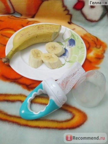 Ниблер Baby Go Fruit Feeder 6+ с нейлоновой сеточкой (сеточка для кормления) фото