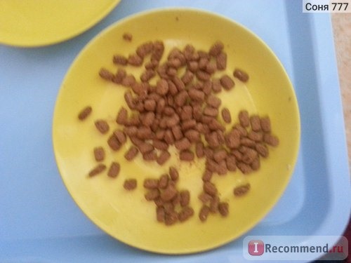Pro Plan Sterilised сухой корм с индейкой для кастрированных и стерилизованных кошек фото