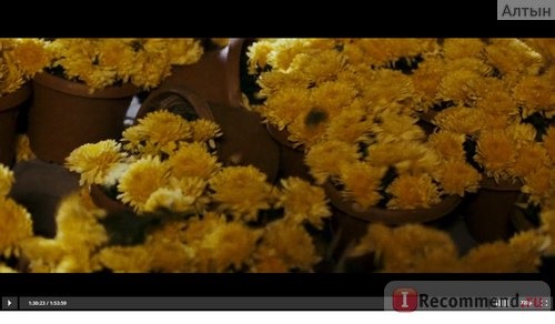 Проклятие золотого цветка / Man cheng jin dai huang jin jia фото