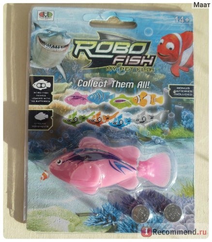 ZURU Inc Robo Fish: Роборыбка (плавает в воде) фото