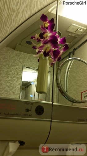 цветы в туалете самолета