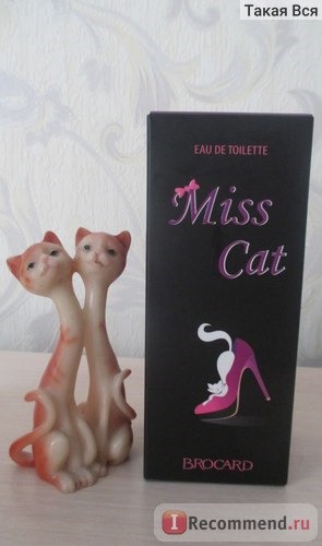 Brocard Miss Cat фото