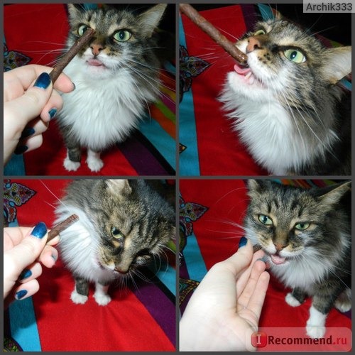Лакомство Мнямс Pro Pet Лакомые палочки для кошек фото