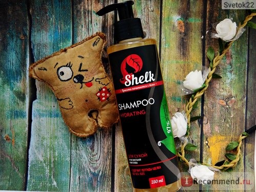 Шампунь Shelk Hydrating shampoo, Увлажняющий для сухих волос и чувствительной кожи головы фото