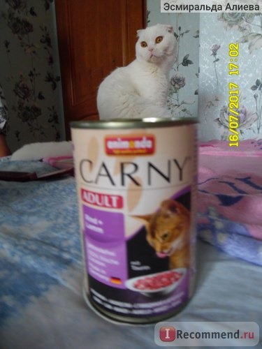 Корм для кошек ANIMONDA Консервы для кошек с говядиной и ягненком, Carny Adult Rind + Lamm фото