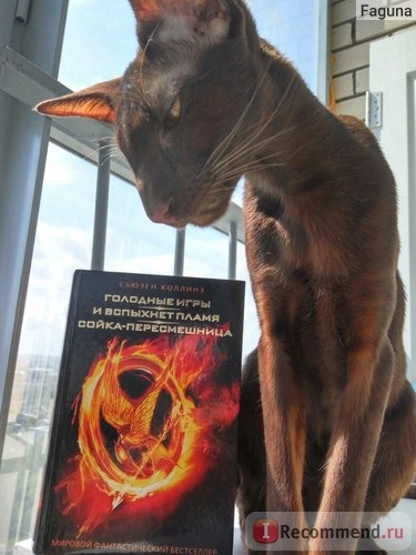 Голодные игры / The Hunger Games, Сьюзен Коллинз фото