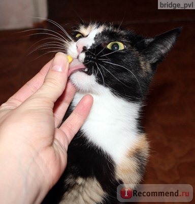 Gimpet Kase-Rollis Витаминизированные сырные шарики для кошек