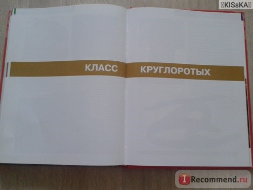 Красная книга России. Оксана Скалдина фото