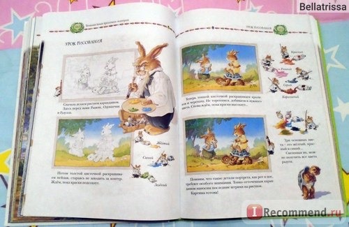 Большая книга кроличьих историй. Женевьева Юрье, Лоик Жуанниго фото