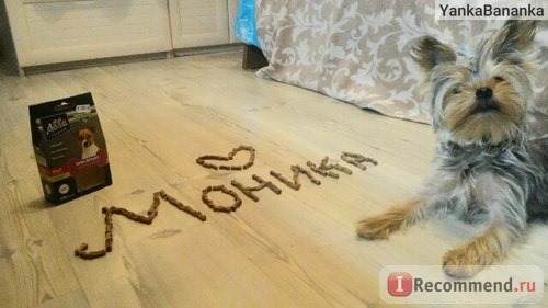 Корм для собак Авва Беззерновые мини-косточки фото