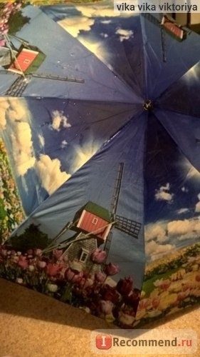 Зонт Ame Yoke женский Голландия Тюльпаны фото