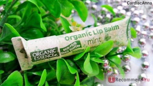 Бальзам для губ Organic essence Organic Lip Balm Mint фото