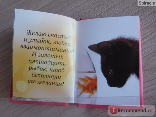 С днем рождения (котенок) Издательство Книжка С Фишкой фото