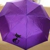 Зонты Avon Миа фото