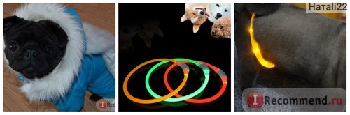 Ошейник Aliexpress PVC LED High Quality USB Luminous Pet Dog Cat Collars Flash Rechargable Safety Equipment фото