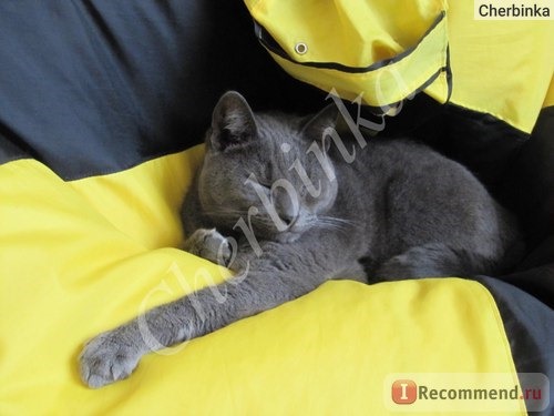 Gimpet Shiny Cat пауч для кошек Цыпленок/Утка в соусе фото
