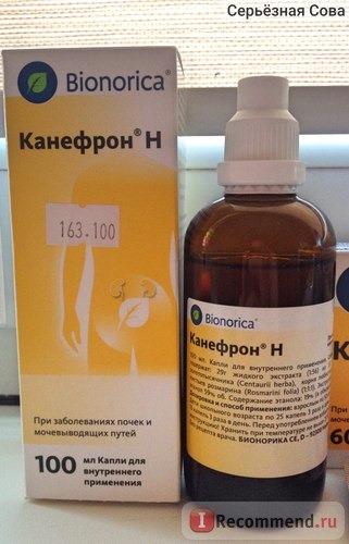 Гомеопатия Bionorica КАНЕФРОН Н в таблетках фото