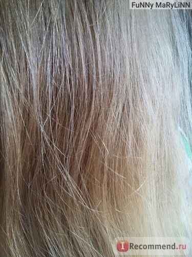 Шампунь для жирных волос Savonry «Луговая свежесть» фото