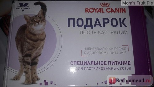 Корм для кошек Royal Canin Young male фото