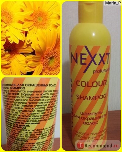 Шампунь Nexxt Colour shampoo для окрашенных волос фото