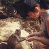 На экскурсии можно кормить обезьян