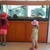 аквариум в баре