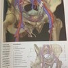 Новый атлас анатомии человека. Р. Уолкер фото