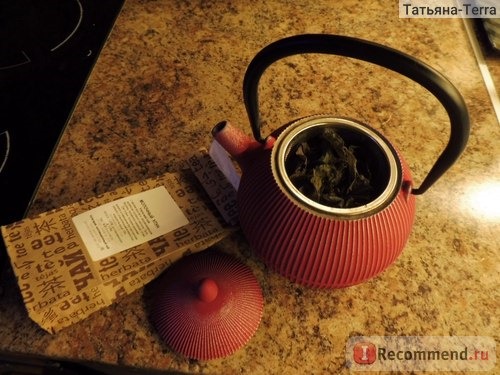Чугунный заварочный чайник ЛОЯН 900 мл фото