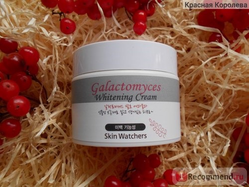 Крем для лица Skin Watchers galactomyces whitening cream фото