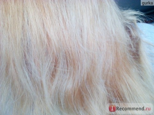 Краска для волос L'Oreal Colorista Bleach фото