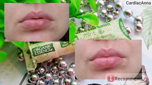 Бальзам для губ Organic essence Organic Lip Balm Mint фото