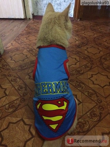 Одежда для собаки/кошки Aliexpress Pet Dog Cat Superman Mesh Vest Puppy Summer Clothes T Shirt Top Apparel Costume фото