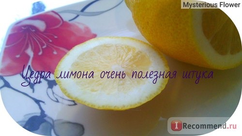 Фрукты Лимон / Citrus limon фото