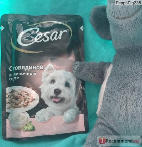 Корм для собак Cesar С говядиной в сливочном соусе фото