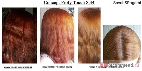 Краска для волос CONCEPT Profy Touch фото