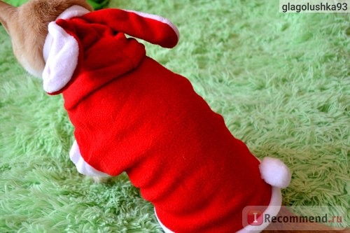 Одежда для собак Aliexpress 2015 New Pet Dog Cat Cute Bunny Clothes Warm Clothes Autumn Winter Puppy Costumes Apparel Christmas Gift фото