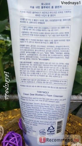 Пенка для умывания TONY MOLY Clean Dew BlueBerry Foam Cleanser с экстрактом черники фото