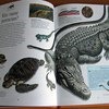 Динозавры и рептилии, Аванта плюс фото