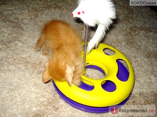 Игрушки для животных ЗооСфера Игрушечное колесо с шариком и мышью на пружине фото