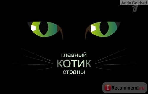 Главный котик страны шнуров